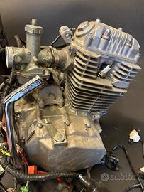 Pit Bike motore 150 derivazione Honda