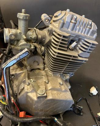 Pit Bike motore 150 derivazione Honda