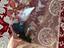 Immagine 6