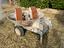 Immagine 2
