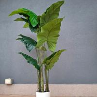 Pianta finta Alocasia