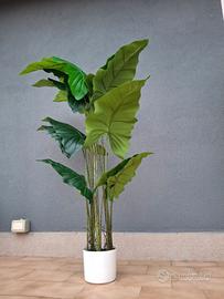 Pianta finta Alocasia