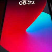 Ipad Pro (Quinta generazione) 256G - 12,9”