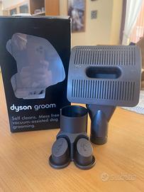 Dyson groom