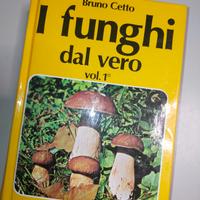 manuale micologia riconoscere funghi dal vero Cett