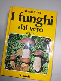 manuale micologia riconoscere funghi dal vero Cett
