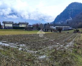 TER. RESIDENZIALE A FORCOLA