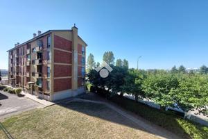 BOX A VITTUONE