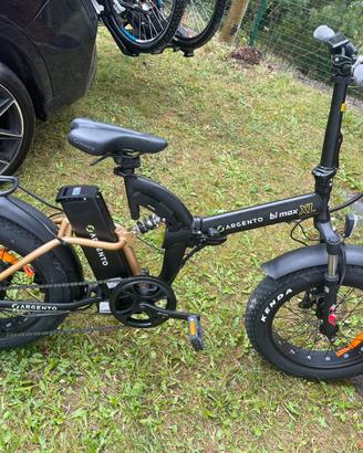 Bici elettrica argento bimax