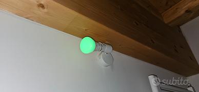 Philips Hue Lampadina E27 White & Color 1100