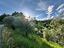 Immagine 10