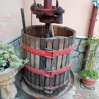 torchio 