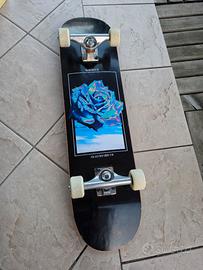 skateboard professionale