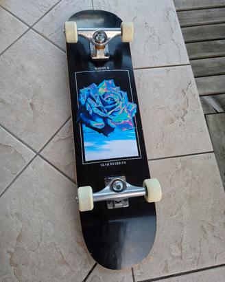 skateboard professionale