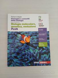 Biologia Molecolare, genetica, evoluzione PLUS