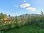 Immagine 25