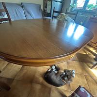 Tavolo rotondo allungabile  con 6 sedie