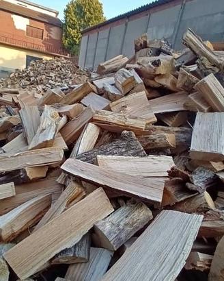 legna ardere secca 
