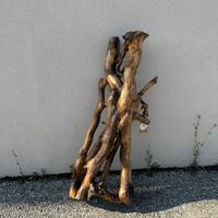 Ramo Decorativo da Giardino