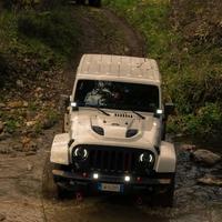 Wrangler Polar editon 