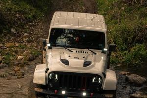 Wrangler Polar editon 