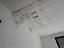Immagine 27