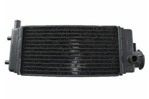 Radiatore acqua Aprilia ETX 125