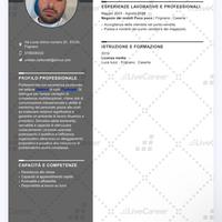 Salve,cer,co lavoro