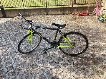 Bici ragazzo