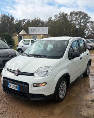 FIAT PANDA HYBRID 1.0 46.000 KM ANNO 2023 GARANTIT