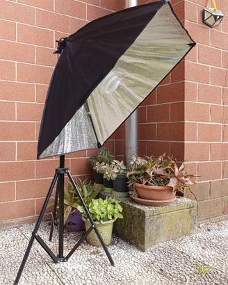 Softbox luce continua