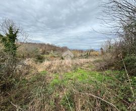 TER. AGRICOLO A SAN CESAREO