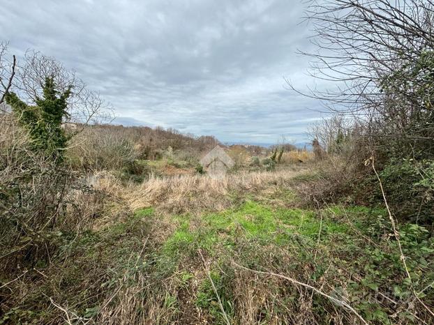 TER. AGRICOLO A SAN CESAREO