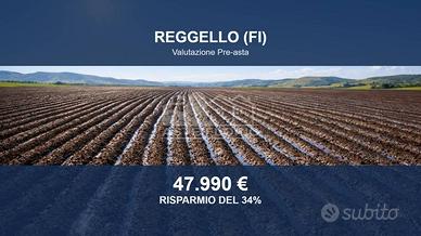 Immobile in asta di 15590 m² a Reggello