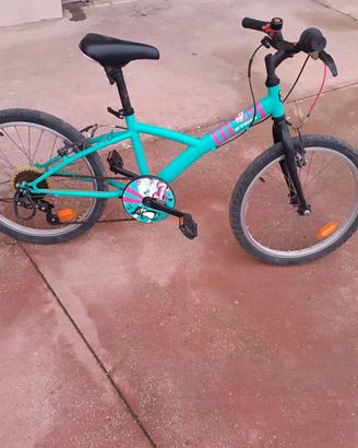 Bicicletta