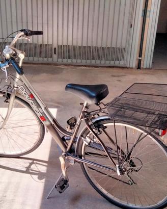 City Bike Doublez