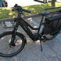 Cargo bike Riese & Muller Multicharger