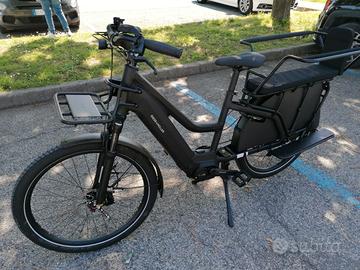 Cargo bike Riese & Muller Multicharger