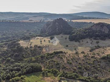 TER. AGRICOLO A CERVETERI