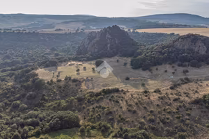 TER. AGRICOLO A CERVETERI
