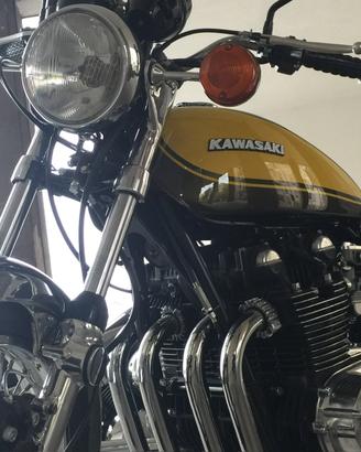 Kawasaki ZF1 900 TESTANERA