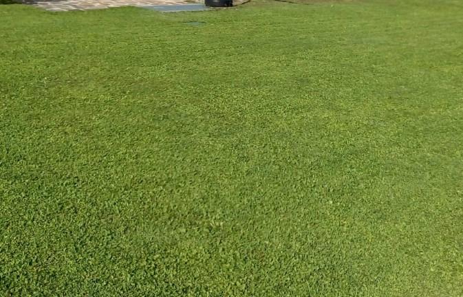 Piano Terra 5 posti letto Rovetta (BG)