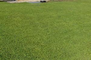 Piano Terra 5 posti letto Rovetta (BG)