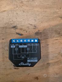 shelly 2 Pm