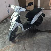 Bellini b3-50 2014