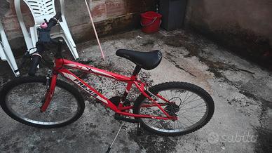 Bicicletta 24"