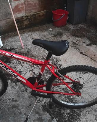 Bicicletta 24"
