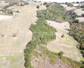 Terreno agricolo di 5 ettari con titoli PAC e fabb