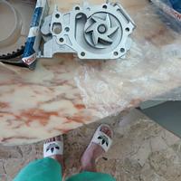 pompa acqua e cinghia motore