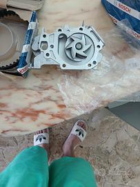 pompa acqua e cinghia motore